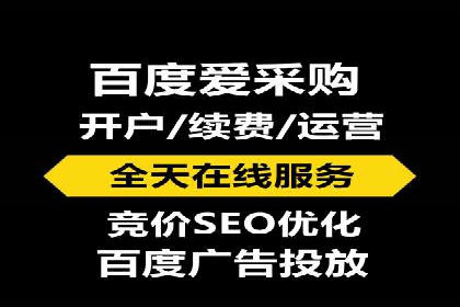 SEO与百度推广结合的营销策略——经典案例解析
